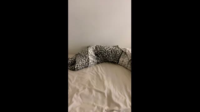 Devriliyorum Naz İfşa Leopar Bodyde S400 - HD Porno İzle